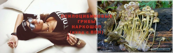 молекула духа Дмитровск