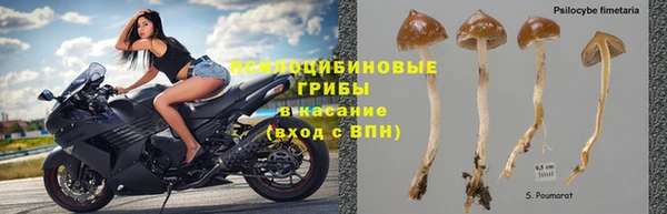 молекула духа Дмитровск