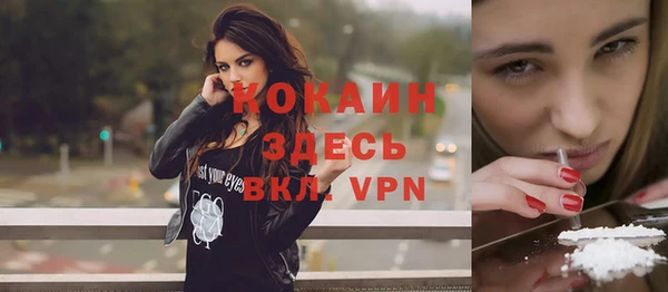молекула духа Дмитровск