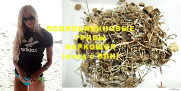 jwh Гусев