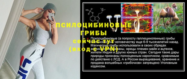 молекула духа Дмитровск