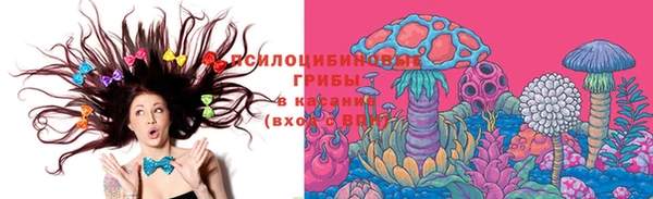 jwh Гусев