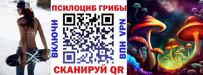 Купить где  Кораблино  Псилоцибиновые грибы ЛСД 
